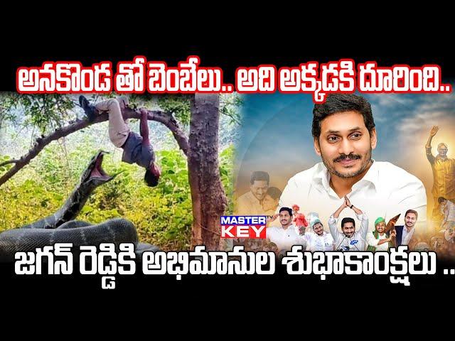 అనకొండ తో బెంబేలు.. అది అక్కడకి దూరింది | YS Jagan Birth day | Master key tv