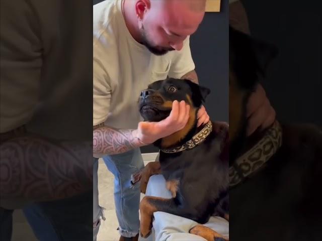 This dog’s reaction going to a chiropractor is hilarious  @Fun_____World