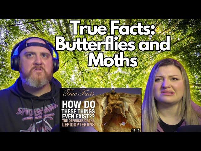 True Facts: The Crazy Defenses of Butterflies and Moths @zefrank | HatGuy & @gnarlynikki React