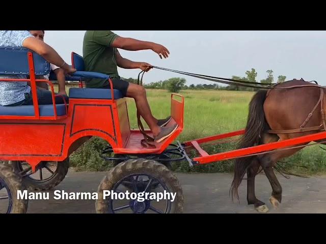 Horse buggy training for out door in India