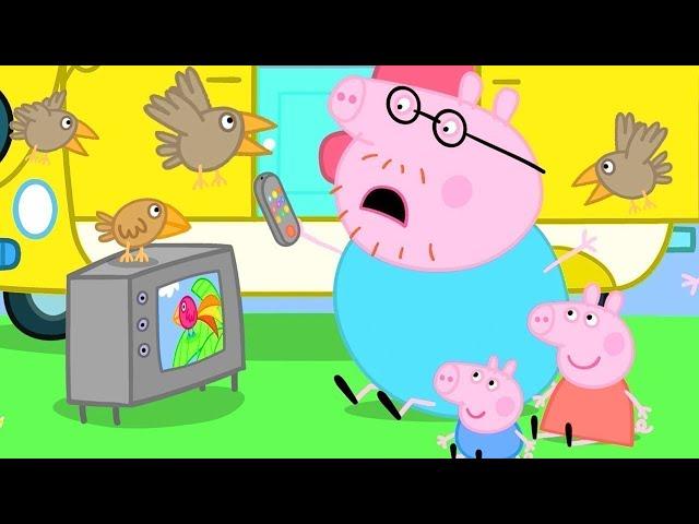 小猪佩奇 | 露營假期 | 兒童卡通片 | Peppa Pig Chinese | 动画