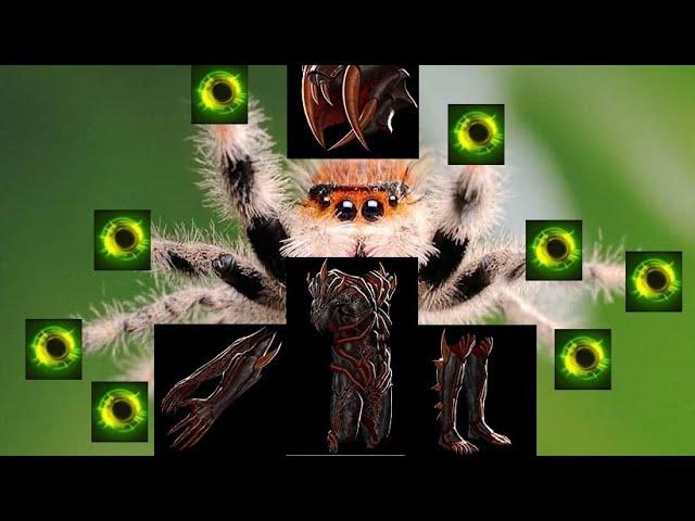 POE 3.20 Fenumus MEMES 'The Jumping Spider build'