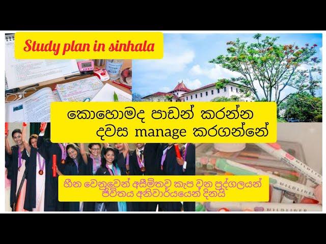 Motivation video in sinhala /study plan /how to manage a day for study / study vlog in sinhala /