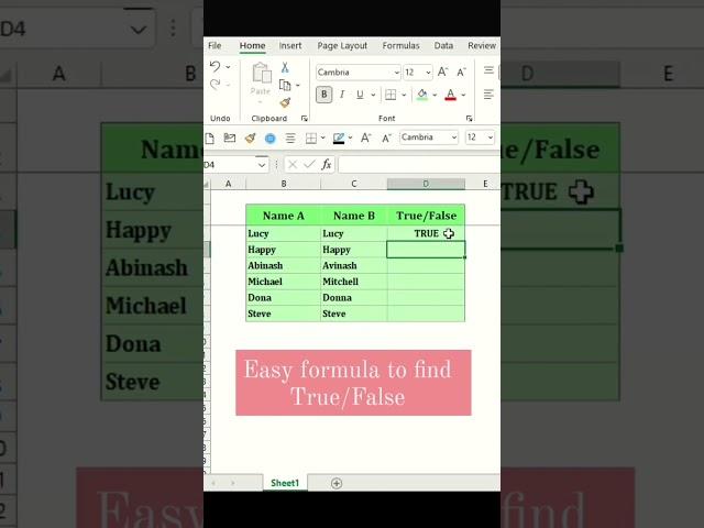 EASY FORMULA TO FIND TRUE FALSE IN EXCEL #excel #excelformulas