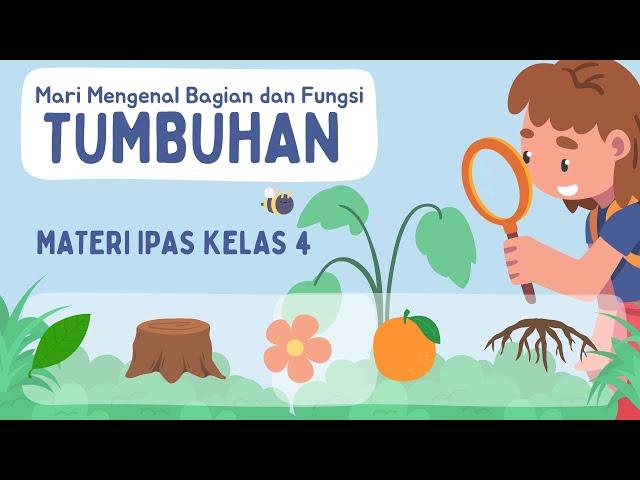 Materi IPAS Kelas 4: Mari Mengenal bagian dan Fungsi Tumbuhan