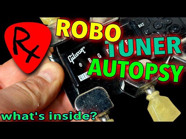 Dissection of Gibson Robot Tuners Under the Microscope