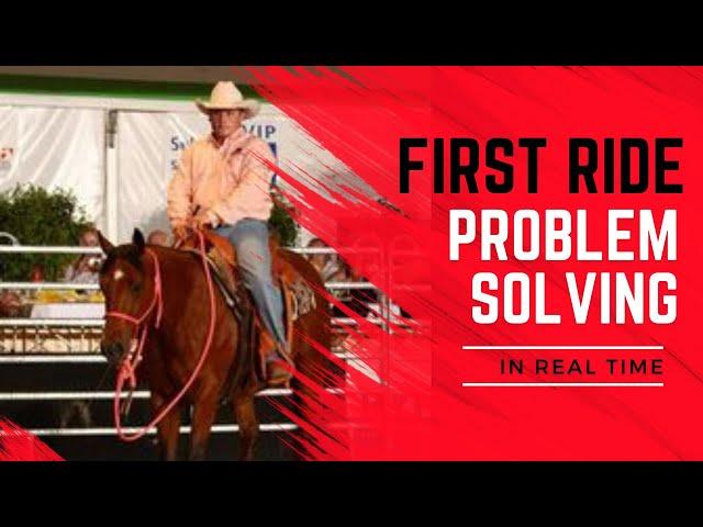 Horse Training Tip- First Ride Problem Solving