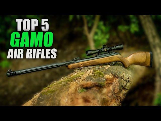 Top 5 Best Gamo Air Rifles - Madman Review