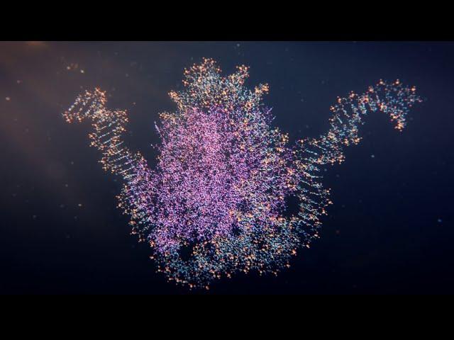 Multi Scale Modeling of Chromatin and Nucleosomes