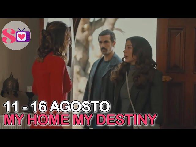 My Home My Destiny 11 -16 Agosto: Mehdi e Zeynep due mondi diversi, Nermin scopre il tradimento