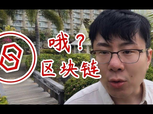 性、犯罪与区块链——第1讲 什么是区块链【如月影vlog10】