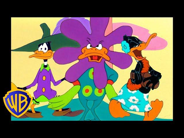 Looney Tunes | Duck Amuck | Classic Cartoon | WB Kids