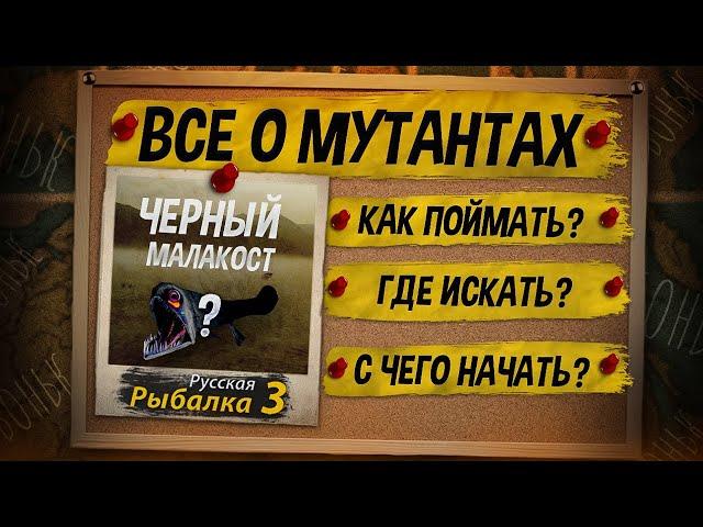 Как Поймать Мутанта. Русская Рыбалка 3. Все ответы за 26 минут.