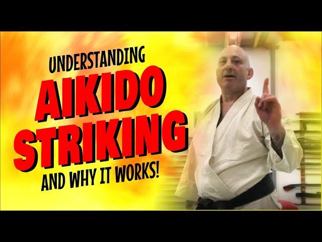 Understanding AIKIDO STRIKING and why it works | Marcus Encel sensei