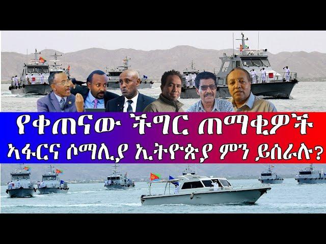 #ኣፋርና ሶማሊያ ኢትዮጵያ ምን ይሰራሉ? #የጠቅላዩ ውሸት #የቀናው ችግር ጠማቂዎች