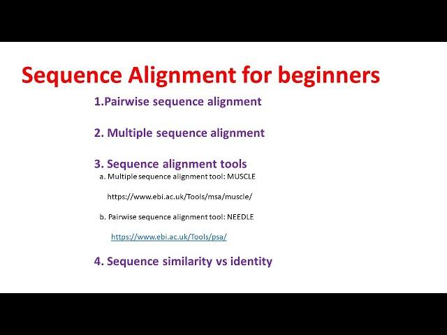 Sequence Alignment for Beginners | Pairwise vs Multiple sequence alignment | Similarity vs Identity