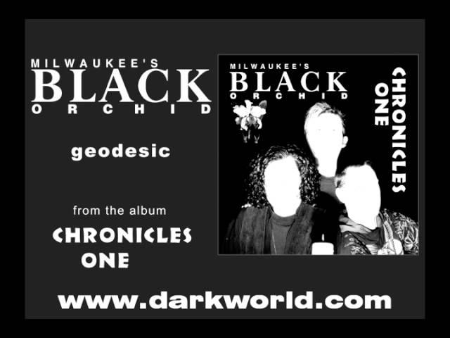 Milwaukee's Black Orchid - geodesic