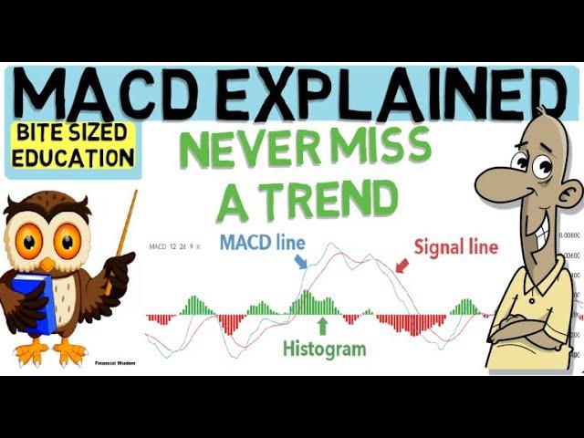 MACD INDICATOR EXPLAINED (Trade with the trend)