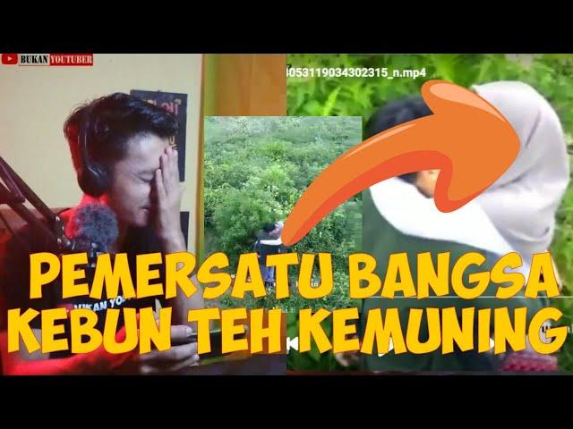 KEBUN TEH KEMUNING!!! muda mudi bermesra4n di puncak kebun teh kemuning viral  REACTION