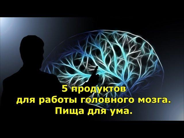 5 продуктов для работы головного мозга. Пища для ума.