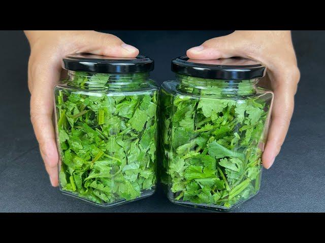 Cilantro Saving Tip Easy    How to keep Coriander Fresh for long in Fridge   Life Hacks  