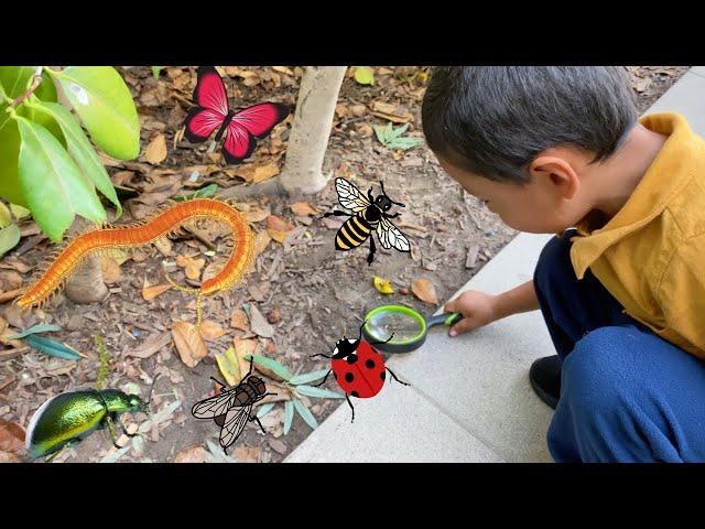 Bug Hunt Adventure with Jeremy | Lots of cool bugs| Outdoor Fun