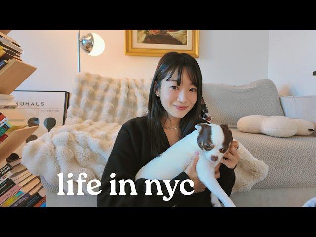 why I love living alone | living in nyc in my 30s