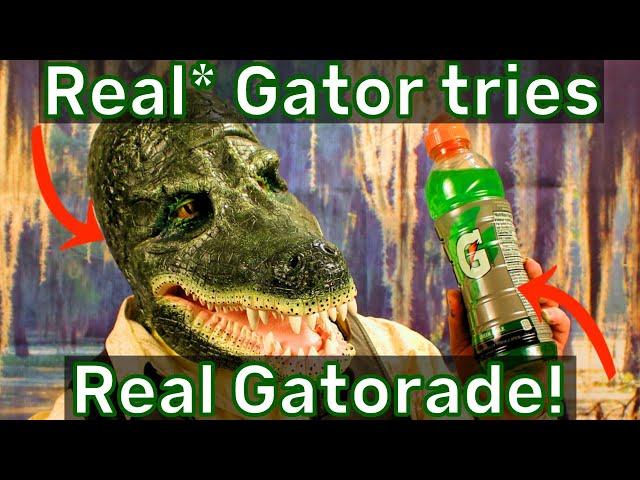 Real* Gator tries Real Gatorade - Ranking 6 flavors - American Alligator Face Prosthetic Makeup Demo