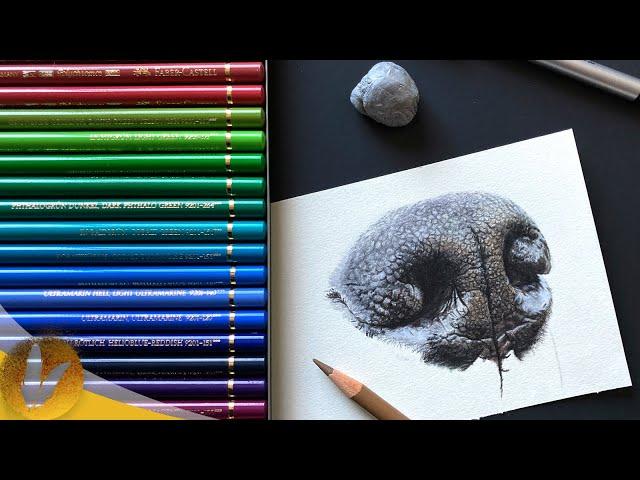 How To Choose Colors With Colored Pencils | Easy Color Picking Ways