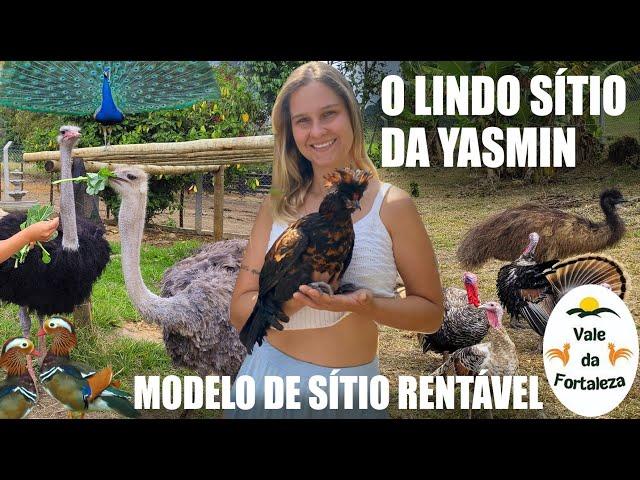 MODELO DE SITÍO SUSTENTÁVEL E SUPER RENTÁVEL -  AVES EXÓTICAS