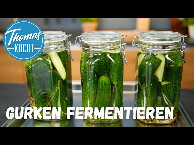 Gurken ganz einfach fermentieren - super lecker und gesund!