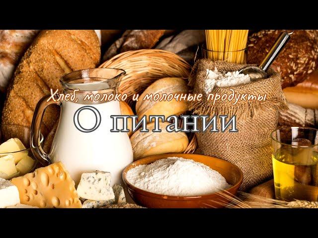 ОСОЗНАННОЕ ПИТАНИЕ. Хлеб, молоко и молочные продукты | Белый Орион.