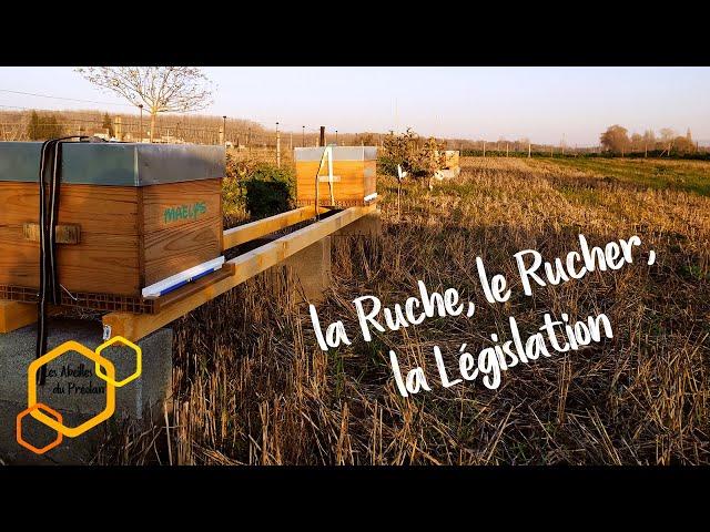 Débuter l'Apiculture : 01 Ruche, Rucher et Législation