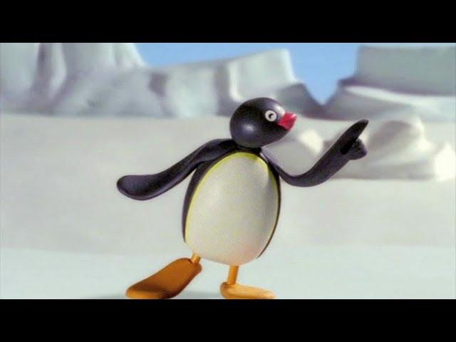 Pingu English New Episodes #14