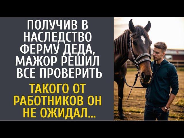 Получив в наследство ферму деда, мажор решил все проверить… Такого от работников он не ожидал…