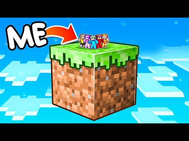 Minecraft But We’re On ONE HUGE BLOCK!