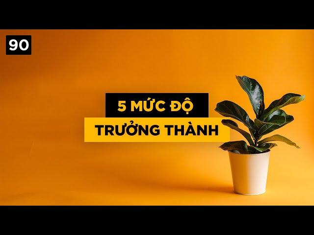 5 mức độ trưởng thành