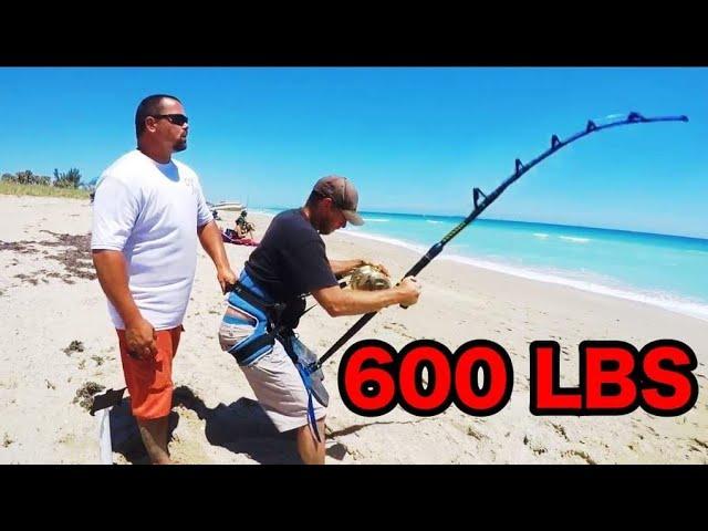 THEY SHOULD HAVE CLOSED THE BEACH!! (600 POUNDS)