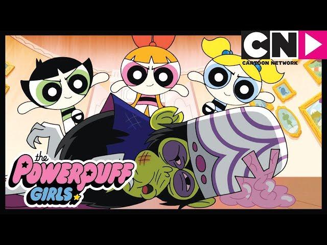 NEW Powerpuff Girls | Mojo Jojo Protection Progamme | Cartoon Network