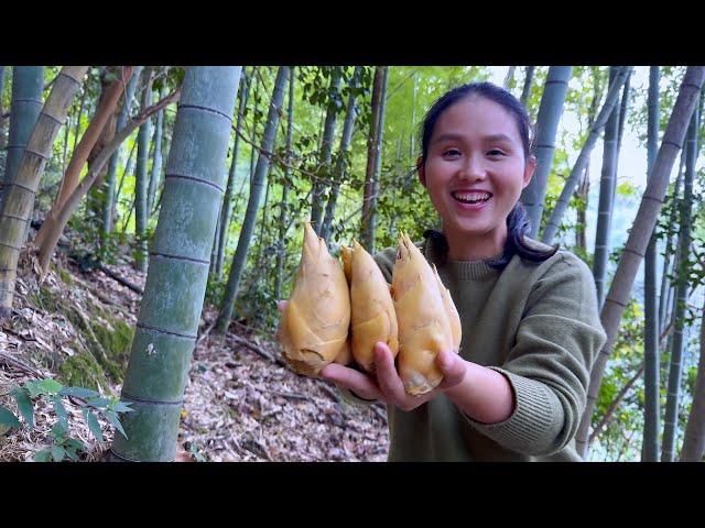 Big Harvest of Winter Bamboo Shoots! One Hearty Stew, Super Fresh and Delicious!