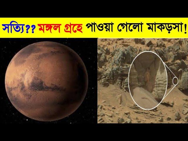 Mars এ পাওয়া গেলো মাকড়সা? কতোটা সত্যি? | 5 Amazing Facts in Bangla