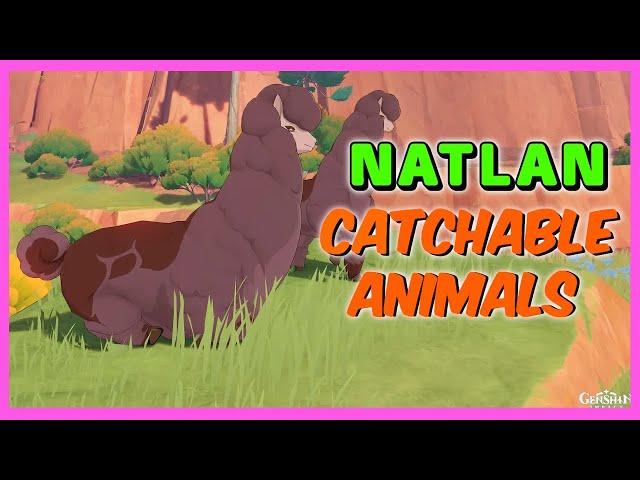 Catchable Animals In Natlan - Genshin Impact Version 5.0