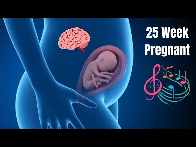 Music For Pregnancy After 25 week -  make baby smarter 