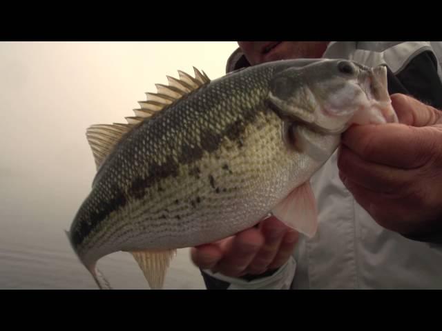 Late Winter Largemouth Bass - Scott Suggs - Season 3 Episode 10