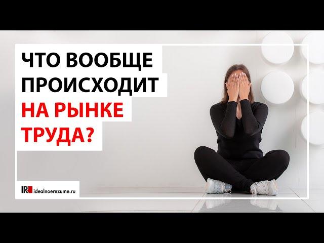 Непонимание ситуации на рынке труда | 5 страхов поиска работы