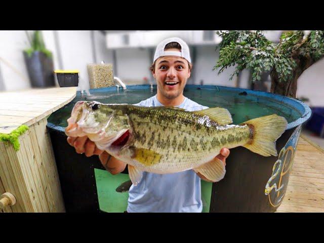 My NEW Pet BASS THUMP for 5,500G POND!! ft. Icy Breeze