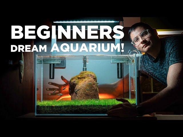 BEGINNERS dream AQUARIUM! Watch how I built it in just a few SIMPLE STEPS!