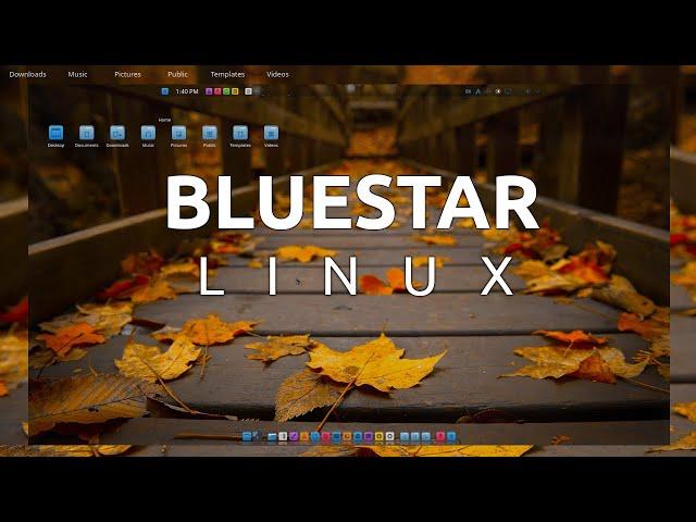 Everything Linux Enthusiasts Should Know About Bluestar Linux