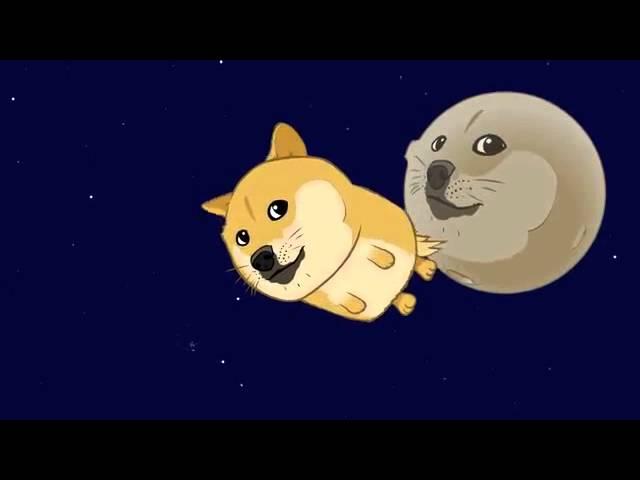 DOGE SONG