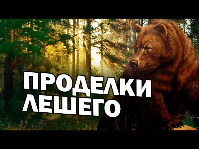 /ПРОДЕЛКИ ЛЕШЕГО / ТАЕЖНОЕ ПРИКЛЮЧЕНИЕ/